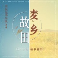 农民兄弟乐队 - 回家