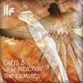 chris b - Listen To My Mind Feat. Janine Small (Steve Haines )(Remix)
