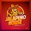 Kylie Auldist、Aldo Vanucci、D'Steph - You're All Show