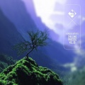 Cj RcM - Tidal Bore