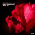 Max Denoise、Claire Willis - Beyond the Bay