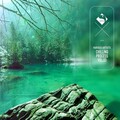 Daminika - Tender Evening