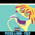 pecos、Distrikt.、NAB - PECOS x NAB - TSLP