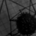 Geo - Flow