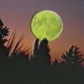 Courage、Vonathan - Late Night Bound
