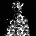 Quadri - Soldiers