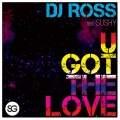 DJ Ross、Sushy - U Got The Love (Remix)(DJ Ross & Marvin Radio Edit版)