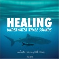 Whale Sounds - Swimming with Whales