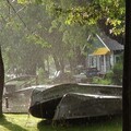 Lori、Lori Ludy - Raining Even on a Sunny Day