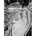 Merk、Brad Slate - BeamSplitting