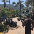Richie - SCRIPTURES AT DAWN