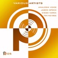 Analogik Voice - Perilous Funky