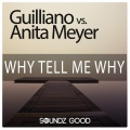 anita meyer、Guilliano、Kane - Why Tell Me Why (Re-Fuge )(Radio Edit)