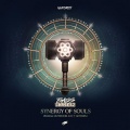Bass Chaserz - Synergy Of Souls (Primal Outdoor 2017 Anthem)(Radio Edit)