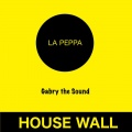 Gabry the Sound - Roger