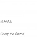 Gabry the Sound - The End (Rock Jungle Mix)