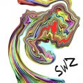 swoozydolphin - chele cat