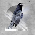Raul Mezcolanza、My Name Is Pinxo - 2011 Techno Dancers
