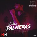 F Jay - Entre Palmeras
