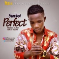 Sureboi - Perfect