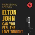 Professional Karaoke - Can You Feel the Love Tonight (Backing Track)