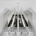 larry greene、Central Collective - Let It Rain
