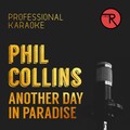Professional Karaoke - Another Day in Paradise (Backing Track)