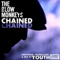 the blow monkeys - Said Too Much