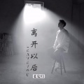 张伦硕 - 离开以后