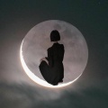 晴二 - 蜜蜂