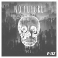 N2V - NO FUTURE