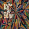 Grizzly Bear、Michael Mcdonald - While You Wait For The Others