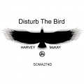 Harvey McKay - Disturb the Bird (Original)