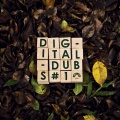 Earl Sixteen、Digitaldubs - Pirates Game