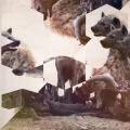 Hyenah - The Wish (Manoo Darkside Remix)