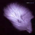 Nits、The Nits - Ivory Boy