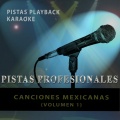 Karaoke King - El Viajero (Karaoke Version)