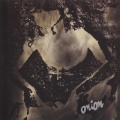 onion - Dancing
