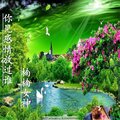 楠楠女神 - 你见感情放过谁
