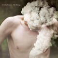 Collarbones - Cocooned