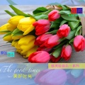 刘鸿 - 美好时光