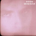 GODS WISDOM - Nail (feat. LuieGO)