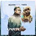 Timaya、Willicino - Ayanda Remix