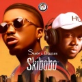 Skiibii、Dtunes - Skibobo
