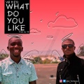 VB、ED - What Do You Like