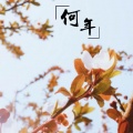 锡墨、卢泠 BOBIV - 何年