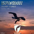 Syncbat - Magic Flight (Radio Mix)