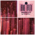 inner city - Big Fun (Radio Edit)
