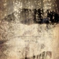 My Brightest Diamond - I Had a Pearl