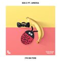 Big Z.、Ameria - I'm On Fire